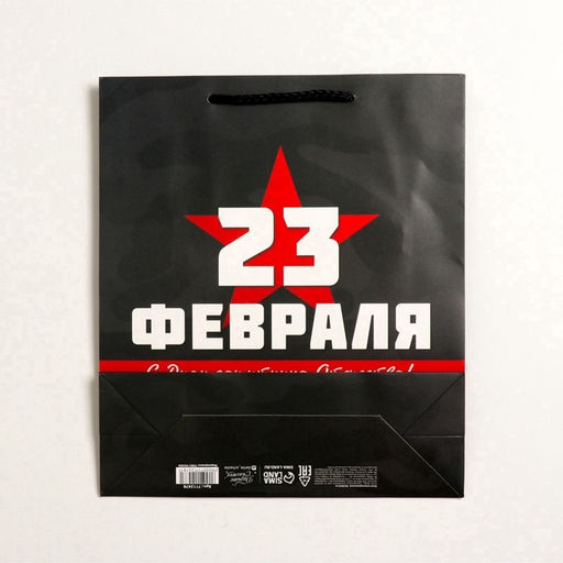 Пакет подарочный ламинированный, упаковка, «С 23 февраля», M 26×30×9 см