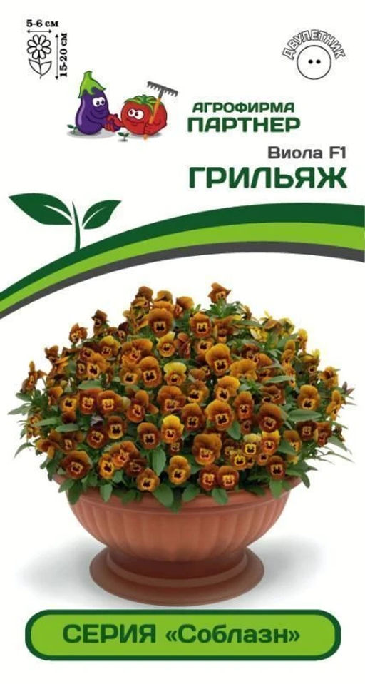 Виола Соблазн Грильяж - Партнер фото 2