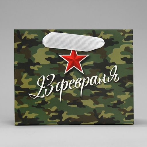 Цена за 2 шт. Пакет подарочный ламинированный, упаковка, «С 23 февраля», S 15×12×5.5 см