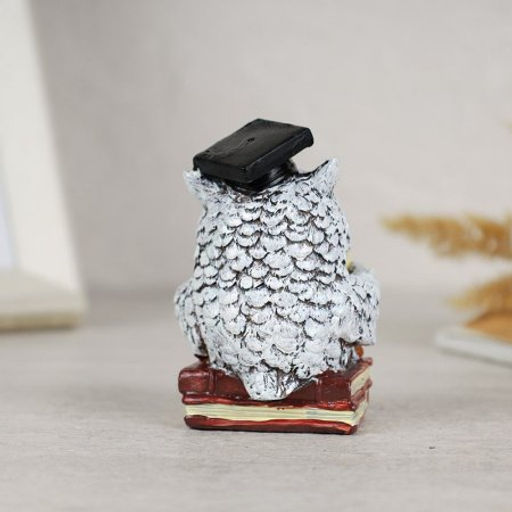 Фигурка Совы 7x6x8.5 см / CW421-17 /уп 4/240/ - Галеонтрейд фото 9