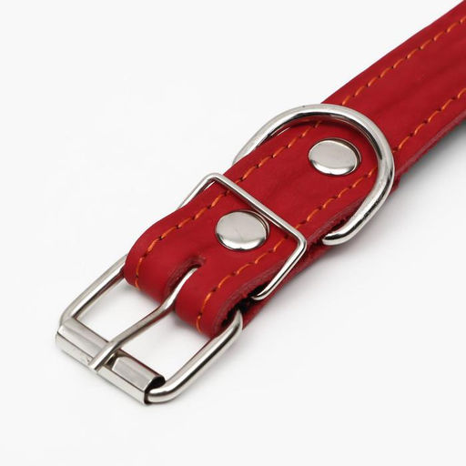 Ошейник кожаный на синтепоне, безразмерный, 65 х 3 см, ОШ 22-55 см, красный - Пижон фото 4