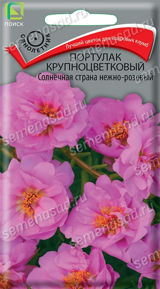 Портулак крупноцветковый Солнечная страна нежно-розовый - Поиск фото 2