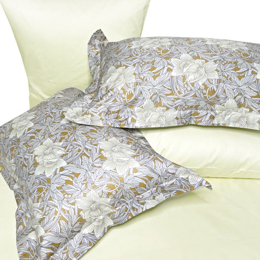 Боначи - Balimena фото 6