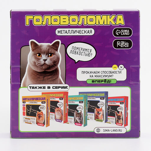 Головоломка металлическая «Саймон»