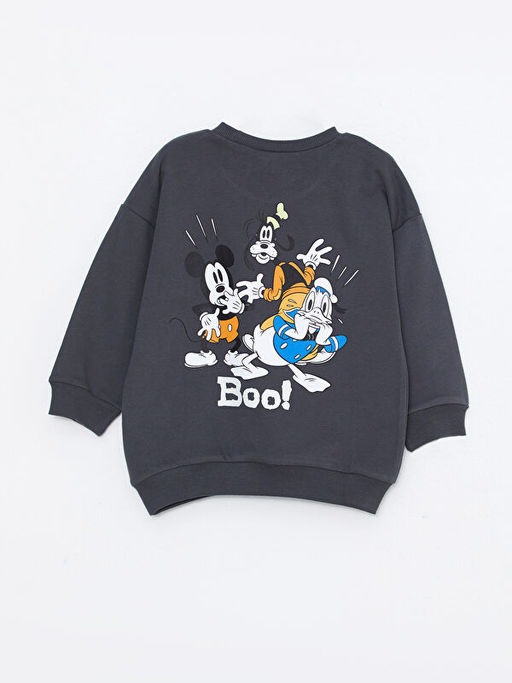 Bisiklet Yaka Uzun Kollu Bask?l? Erkek Bebek Sweatshirt - Waikiki фото 2