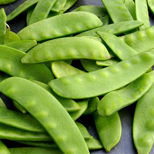 Горох Немецкий Деревенский - Zuckererbse