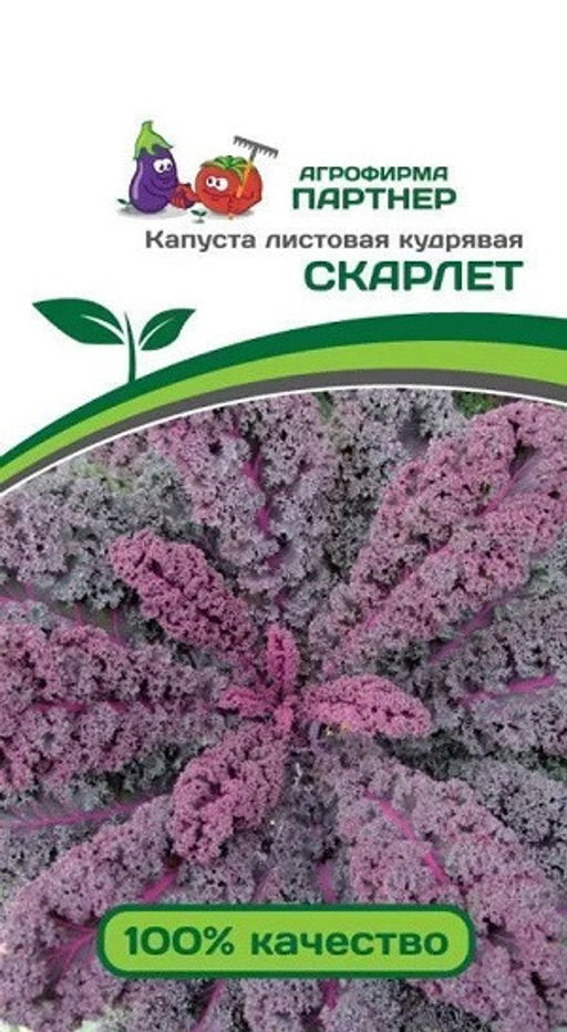 3045P Капуста листовая кудрявая СКАРЛЕТ 0,3гр