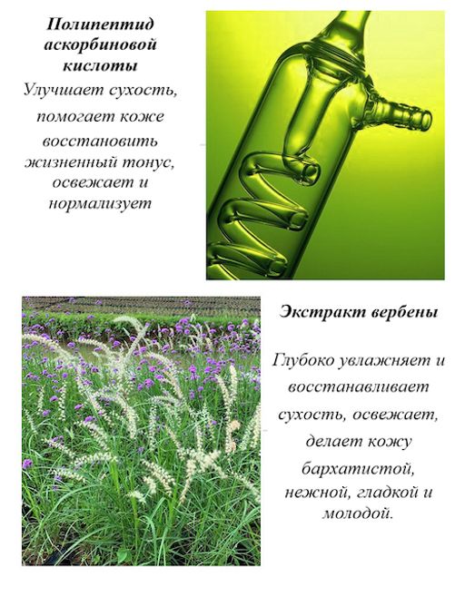 Подарочный набор для омоложения кожи лица с полипептидами центеллы+подарочный пакет - Sadoer фото 6