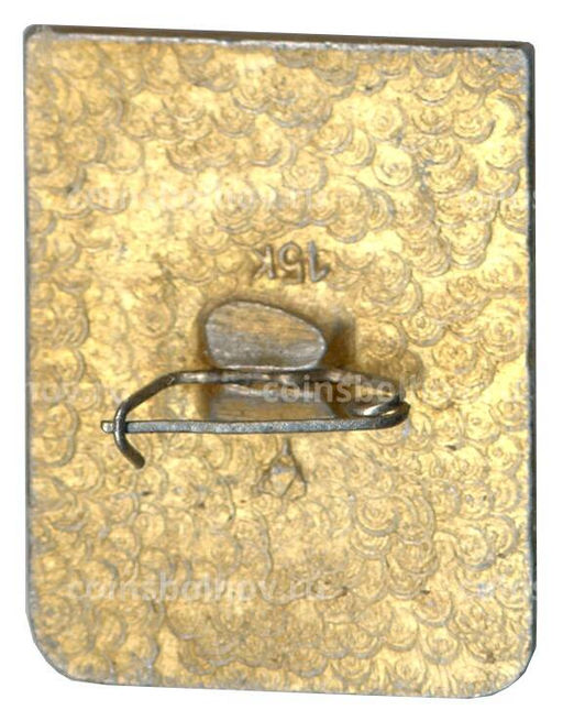 Значок Гусь-Хрустальный