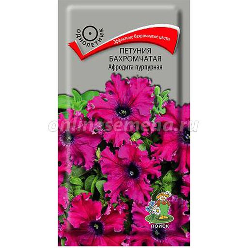 Петуния бахромчатая Афродита пурпурная (ЦВ) (1) 10шт