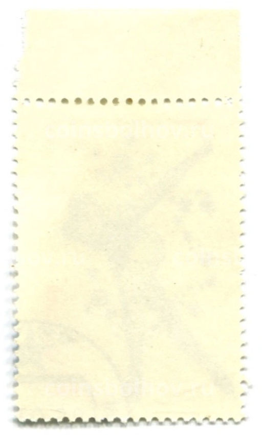 Марка XIII Зимние Олимпийские игры в Лейк-Плесид  Конькобежный спорт 1980 год