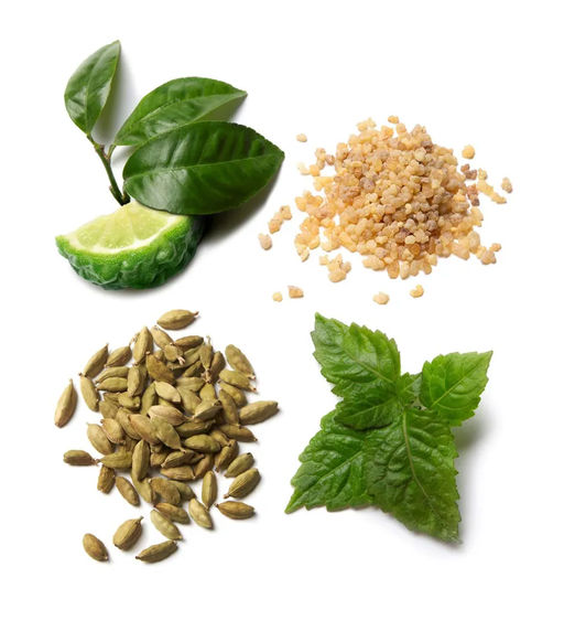 BRIONI ESSENTIAL m EDP 60 ml M, парфюмерная вода  фото 3