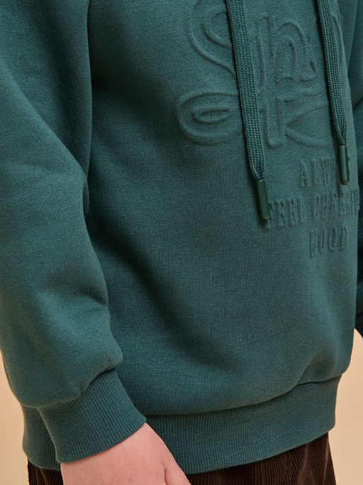 BFNK3363 Толстовка для мальчиков - Pelican фото 5