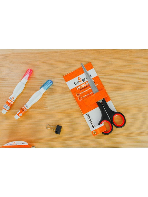 Ножницы канцелярские 16.5 см, «Стандарт», пластиковые ручки, европодвес