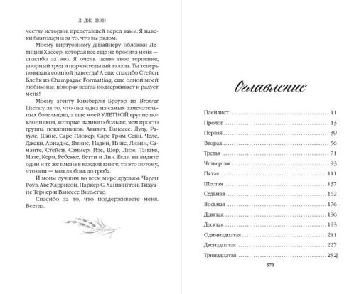 Красавицы Бостона. Злодей (#2)