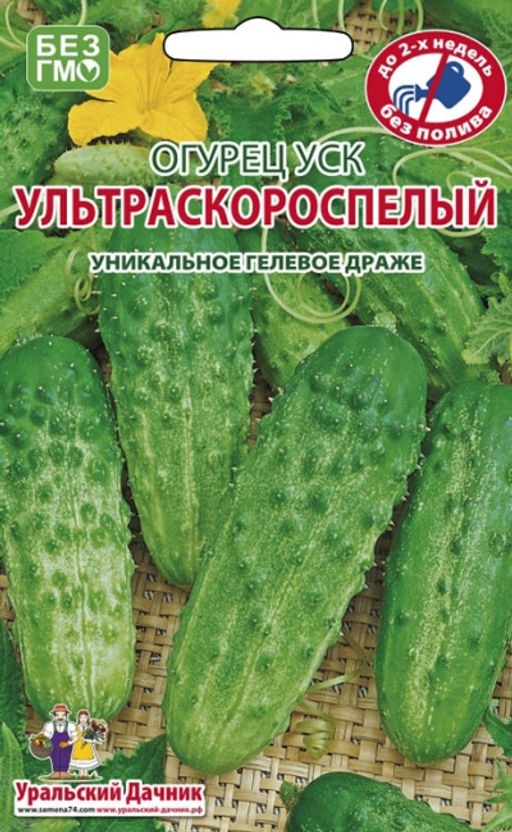 Огурец УЛЬТРАСКОРОСПЕЛЫЙ ДРАЖЕ Первый огурчик! Для открытого грунта огурец не доставит вам хлопот! Переносит засуху!