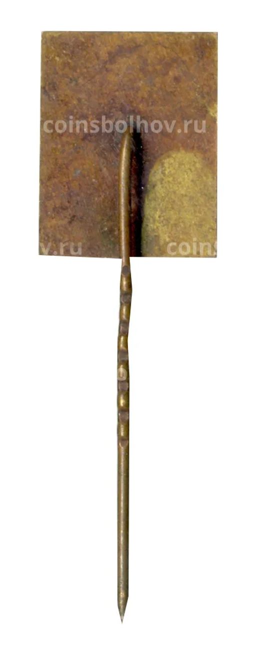 Значок Тракай