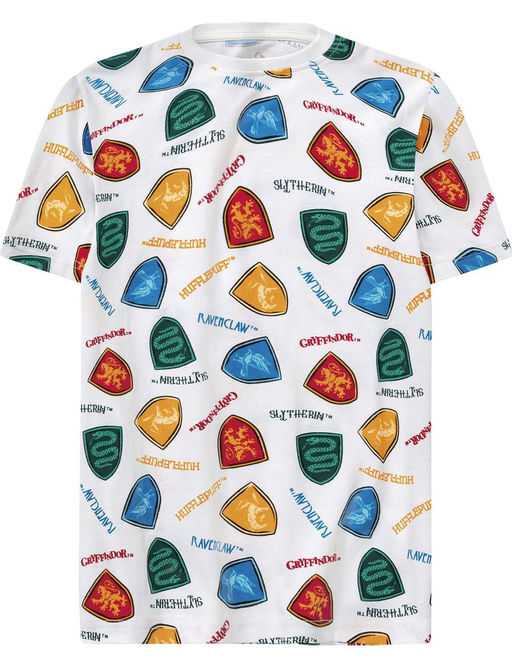 Футболки для мальчика Hogwarts 2 шт - Pepperts фото 4