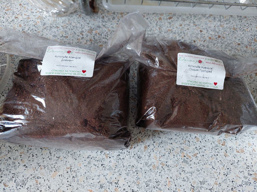 Астильба Арендса Фанал