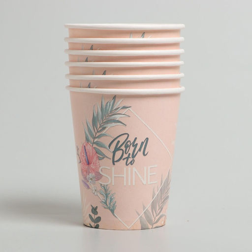 УЦЕНКА Набор бумажной посуды «Happy birthday, цветы»: 6 тарелок, 6 стаканов, 1 гирлянда