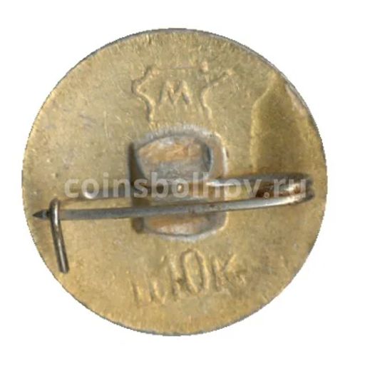 Значок Владимир