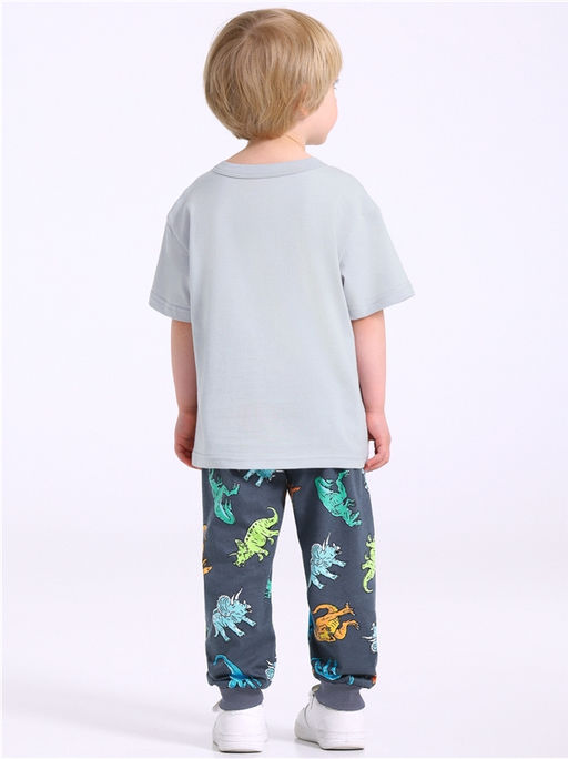 Футболка+брюки 2ПФБ5759001н