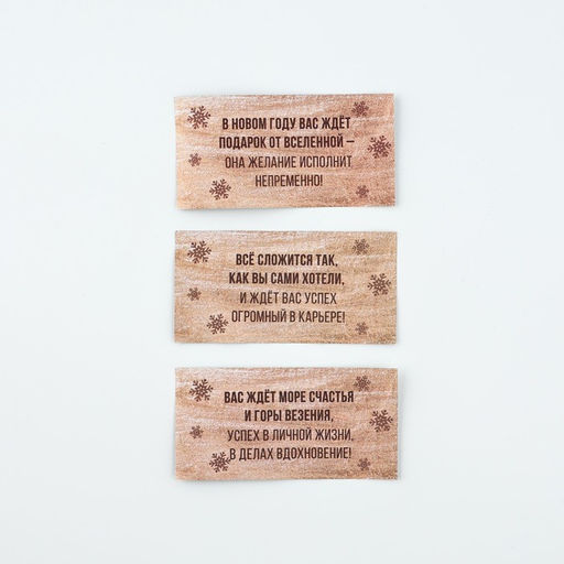 Новогодние пожелания в бутылке «Новый год: Твое волшебное предсказание», 15 свитков, 12 х 5 см