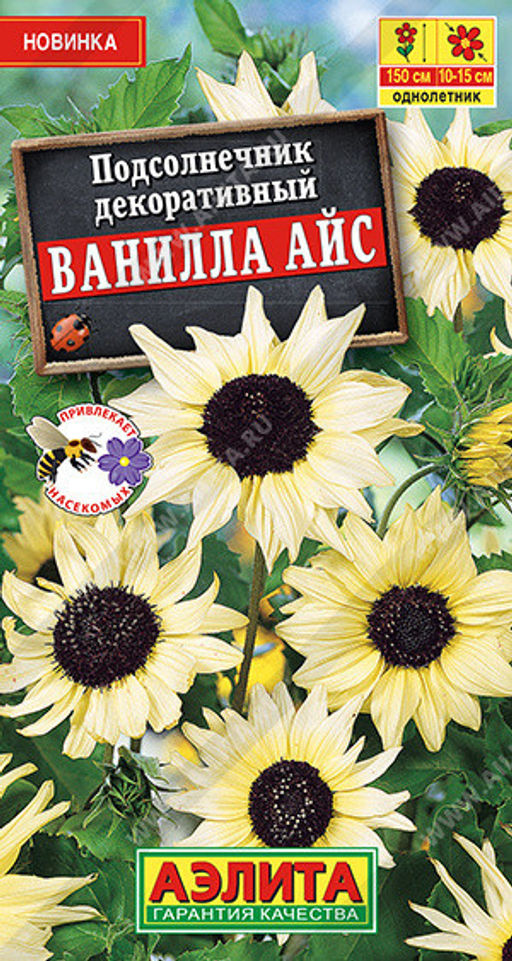 1750A Подсолнечник декоративный Ванилла айс 0,1гр