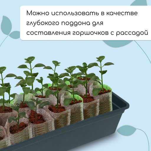 Цена за 2 шт. Ящик для рассады, 50×15×10 см, 5 л, пластик, чёрный, «Урожай-5»