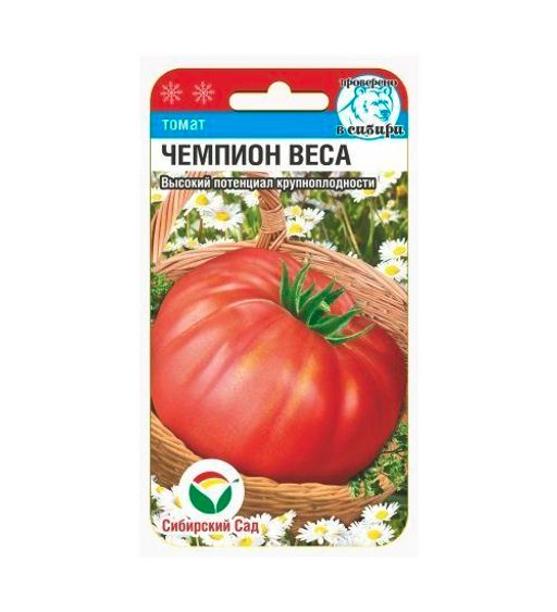 Томат Чемпион Фото