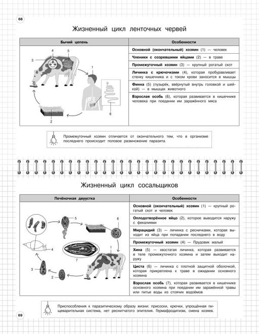 Биология: 5-11 классы