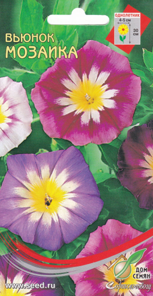 Вьюнок Мозаика смесь