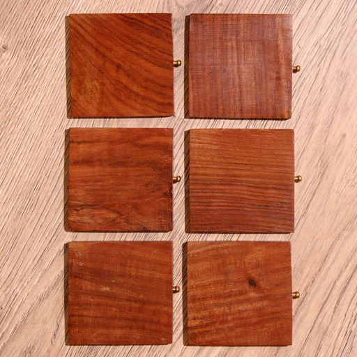 Подставки под горячее, 6 шт., 11×11×10 см, дерево шишам