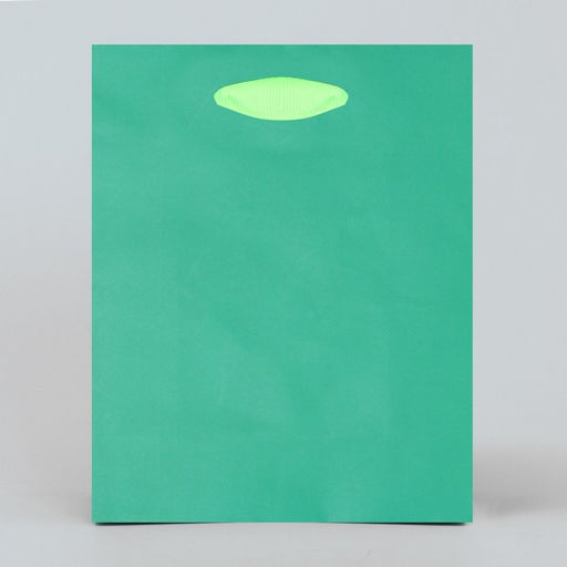 Цена за 2 шт. Пакет подарочный двухцветный, упаковка, «Зеленый-салатовый», S 12 х 15 х 5.5 см