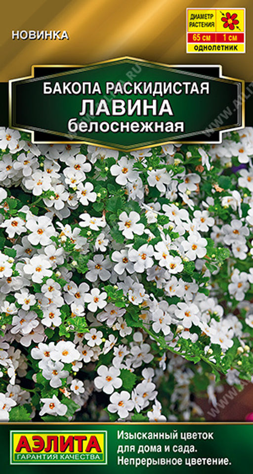 Бакопа раскидистая Лавина белоснежная