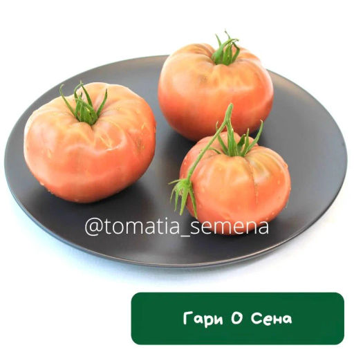 Гарри о Сена