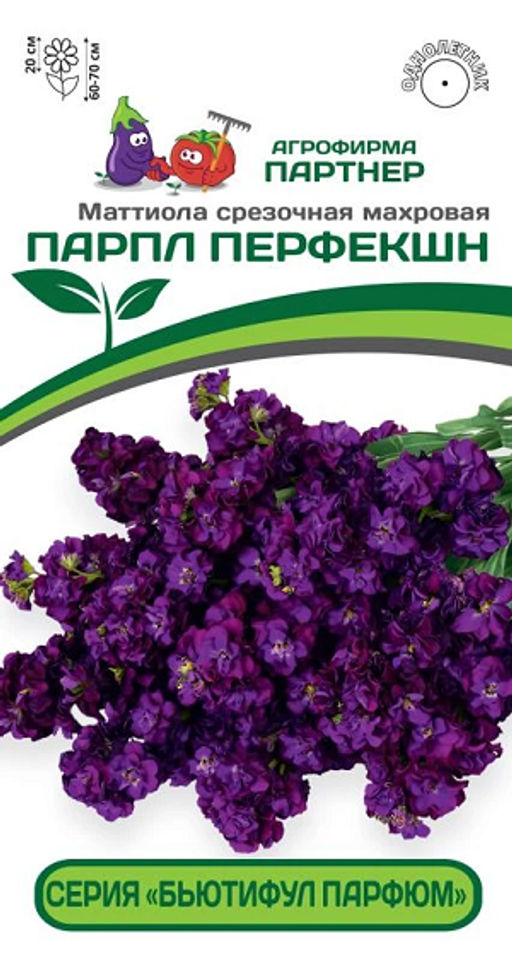 3324P Маттиола срезочная махровая "Бьютифул Парфюм" ПАРПЛ ПЕРФЕКШН 10шт