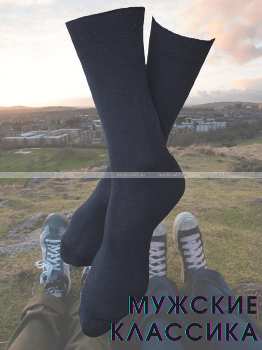 Цена за 10 пар. Легион носки мужские синие