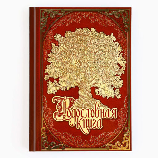 Родословная книга новогодняя «Дед Мороз» 17×2×23.7 см