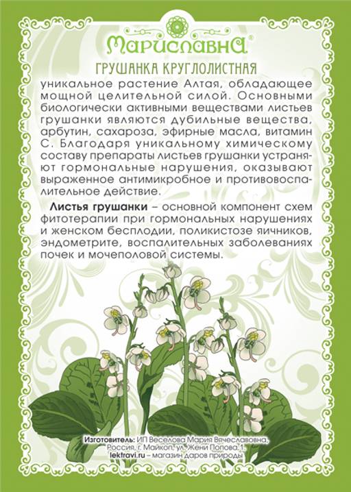 Грушанка круглолистная (лист) - Мариславна фото 2