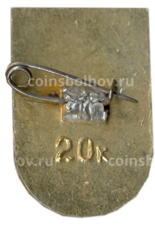 Значок Молдавия