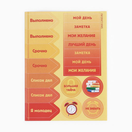 Подарочный набор, 5 предметов «Набор выпускника»