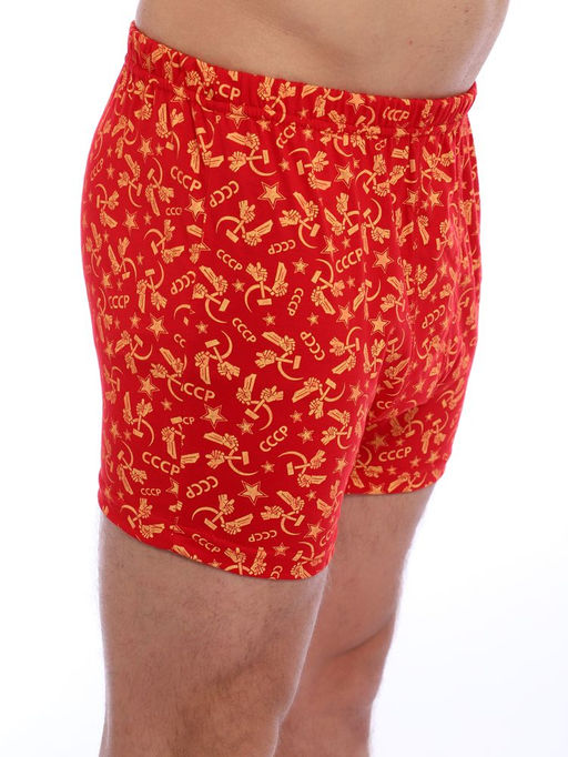 Трусы-боксеры, модель 212, трикотаж (46 размер, Ностальжи)