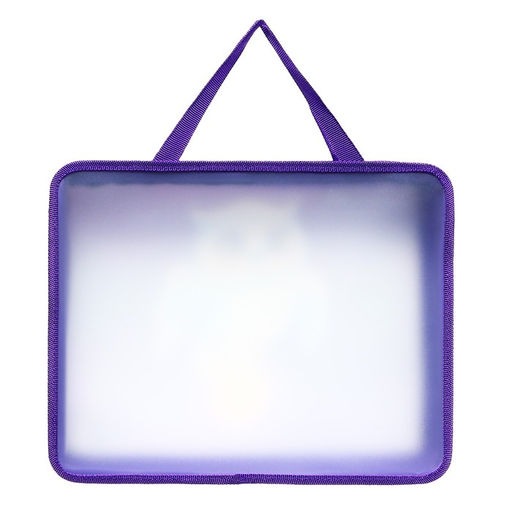 Папка с ручками пластик А4 75мм 330*260 ПМ-А4-26 ArtFox STUDY дев Совушка  фото 3