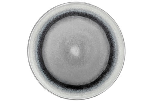Тарелка 18,5*18,5*2,3 см Серый меланж с бортиком, NEW BONE CHINA - Elan gallery фото 6