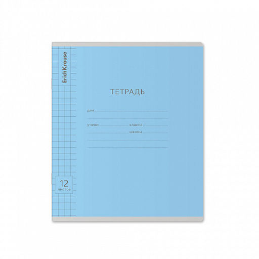 Цена за 280 шт. Тетрадь школьная ученическая ErichKrause Классика Visio ассорти, 12 листов, частая косая линейка (в плёнке по 10 шт.) фото 25