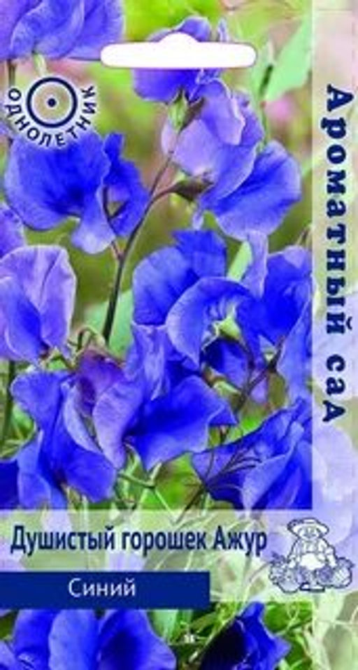 Душистый горошек Ажур Синий (ЦВ) (Ароматный сад1) 1гр