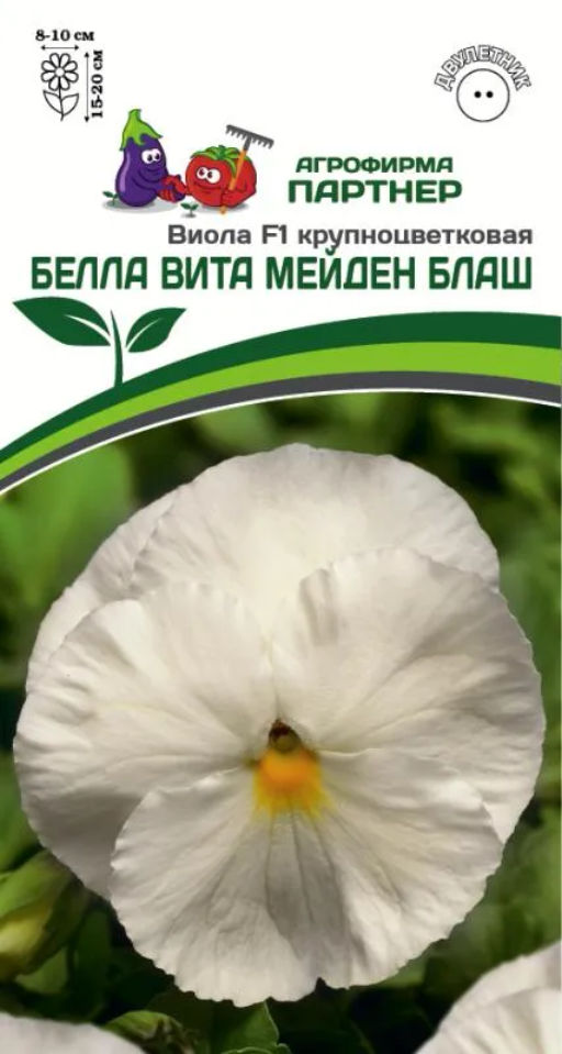 Виола крупноцветковая "Белла Вита" Майден Блаш