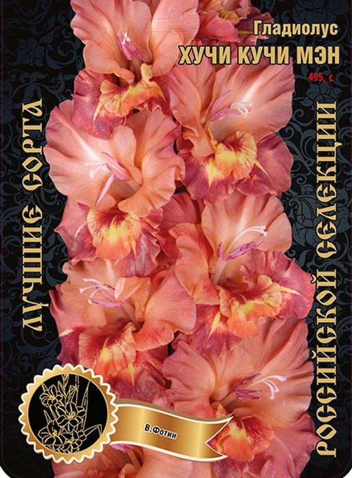 Гладиолус Хучи Кучи Мэн 495,Фотин 1 р-р 7шт (Ф)