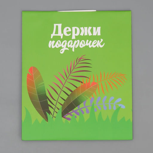 Пакет с формовым клапаном Львенок, 23 27 11.5 см - Дарите счастье фото 7